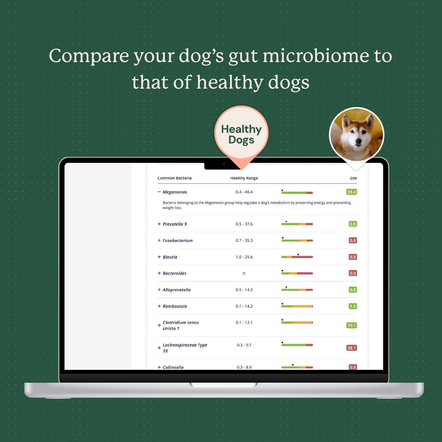 Healthy microbiome comparison