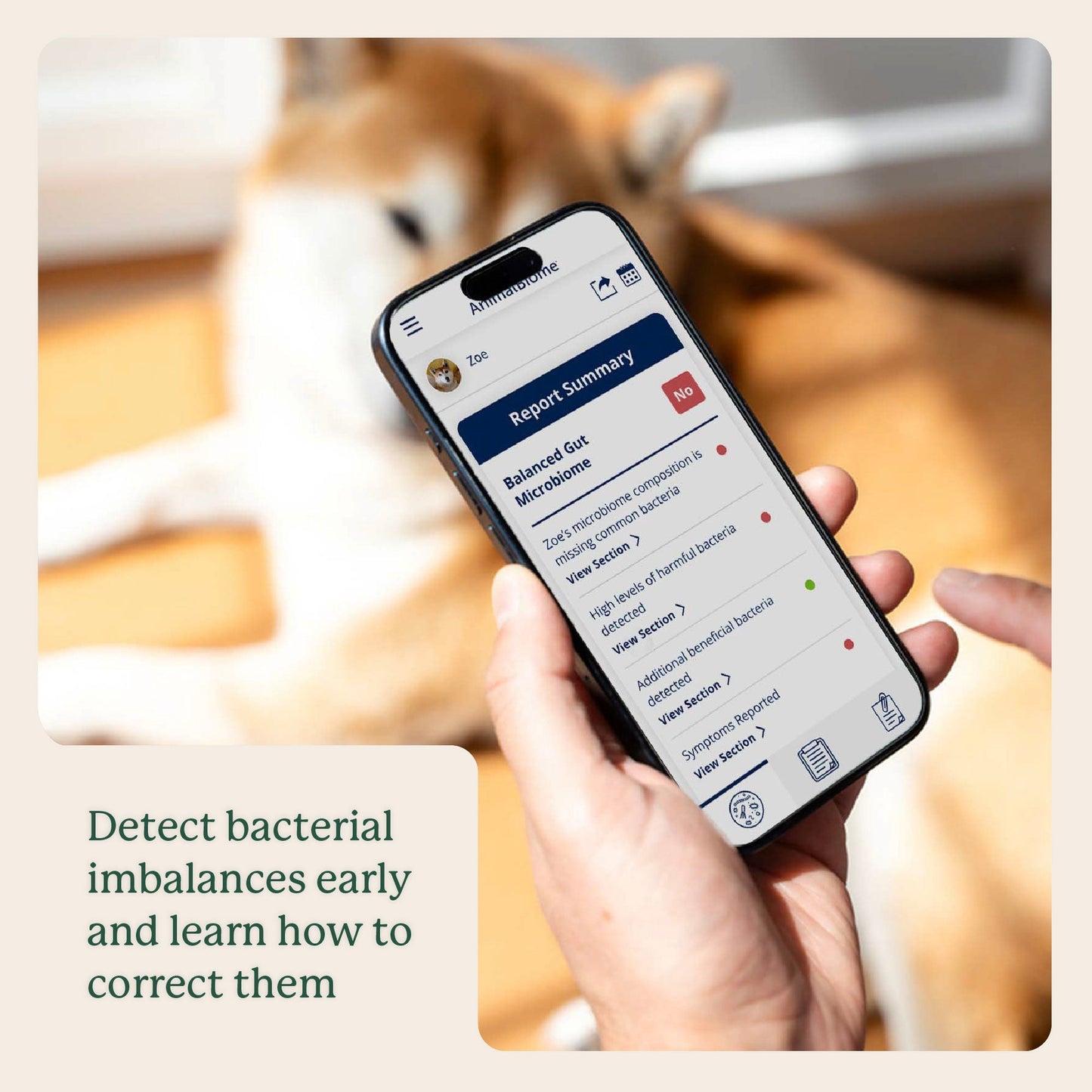 Detect Gut Health imbalances