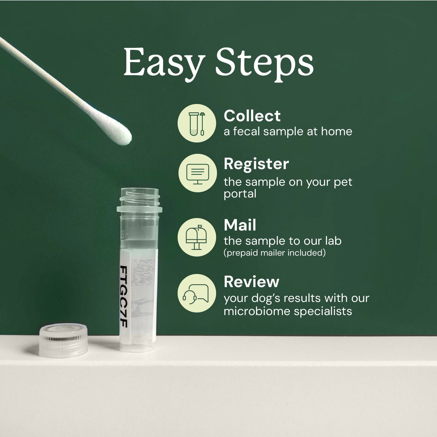 Gut Health collection steps