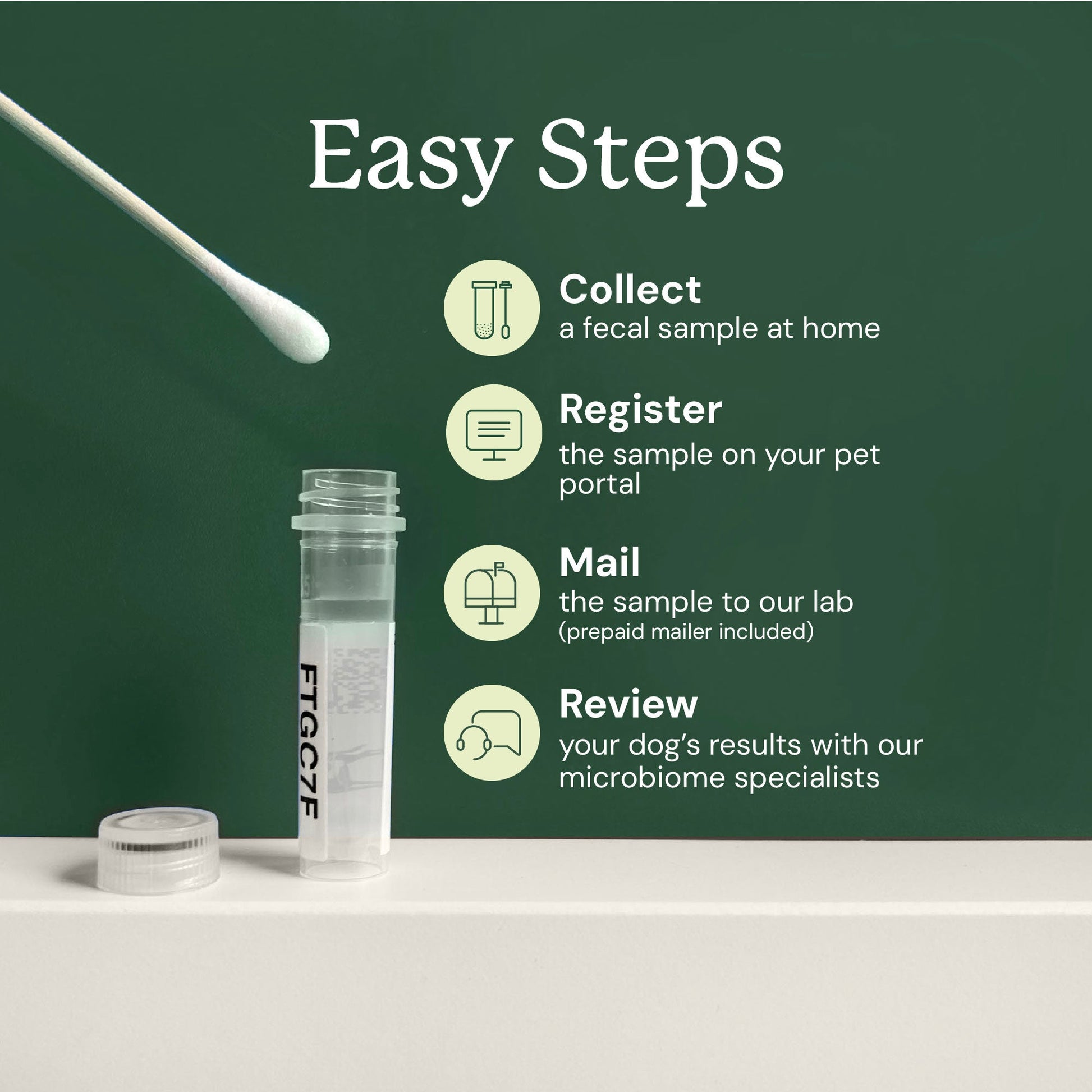 Gut Health collection steps