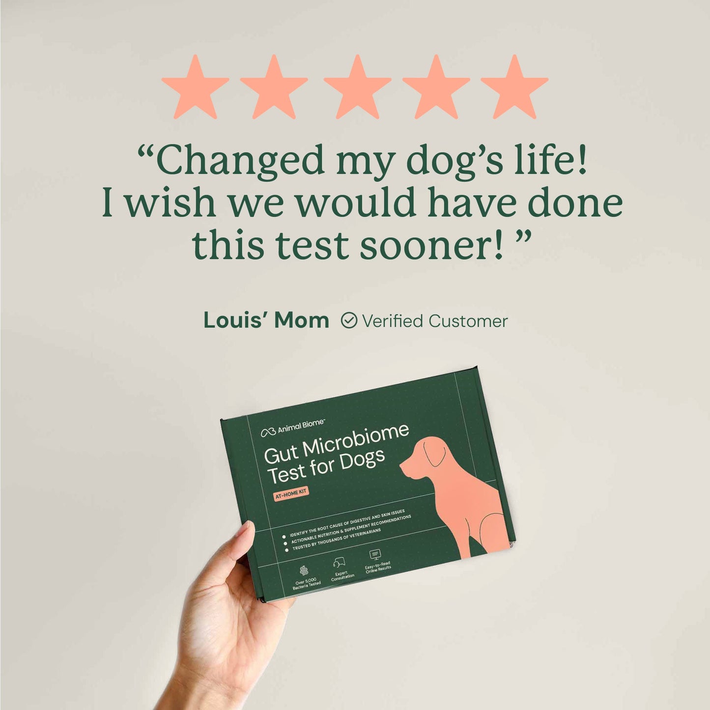 Gut health changed my dogs life