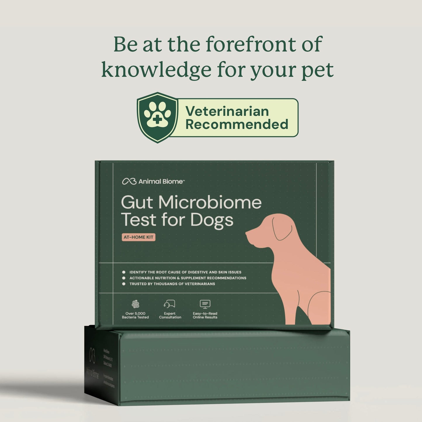 Be at the forefront of Gut Health knowledge