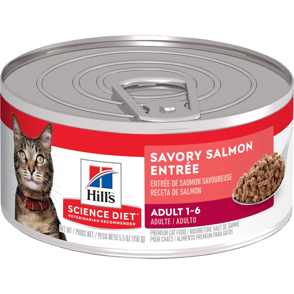 Adult Cat Food