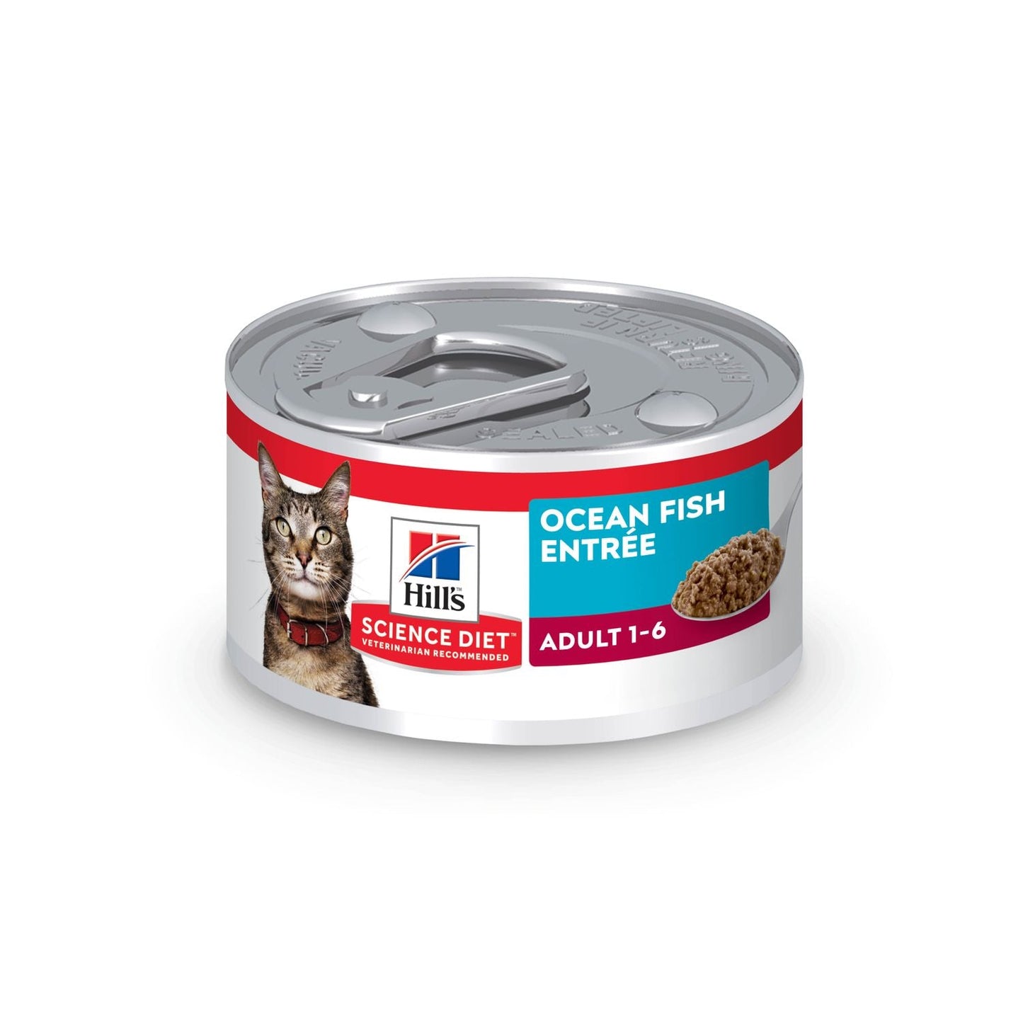 Adult Cat Food