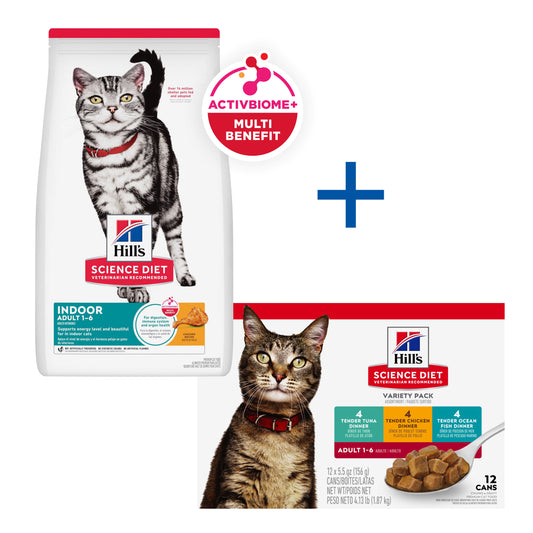 Regular cat focus (Indoor dry + wet varieties) Bundle