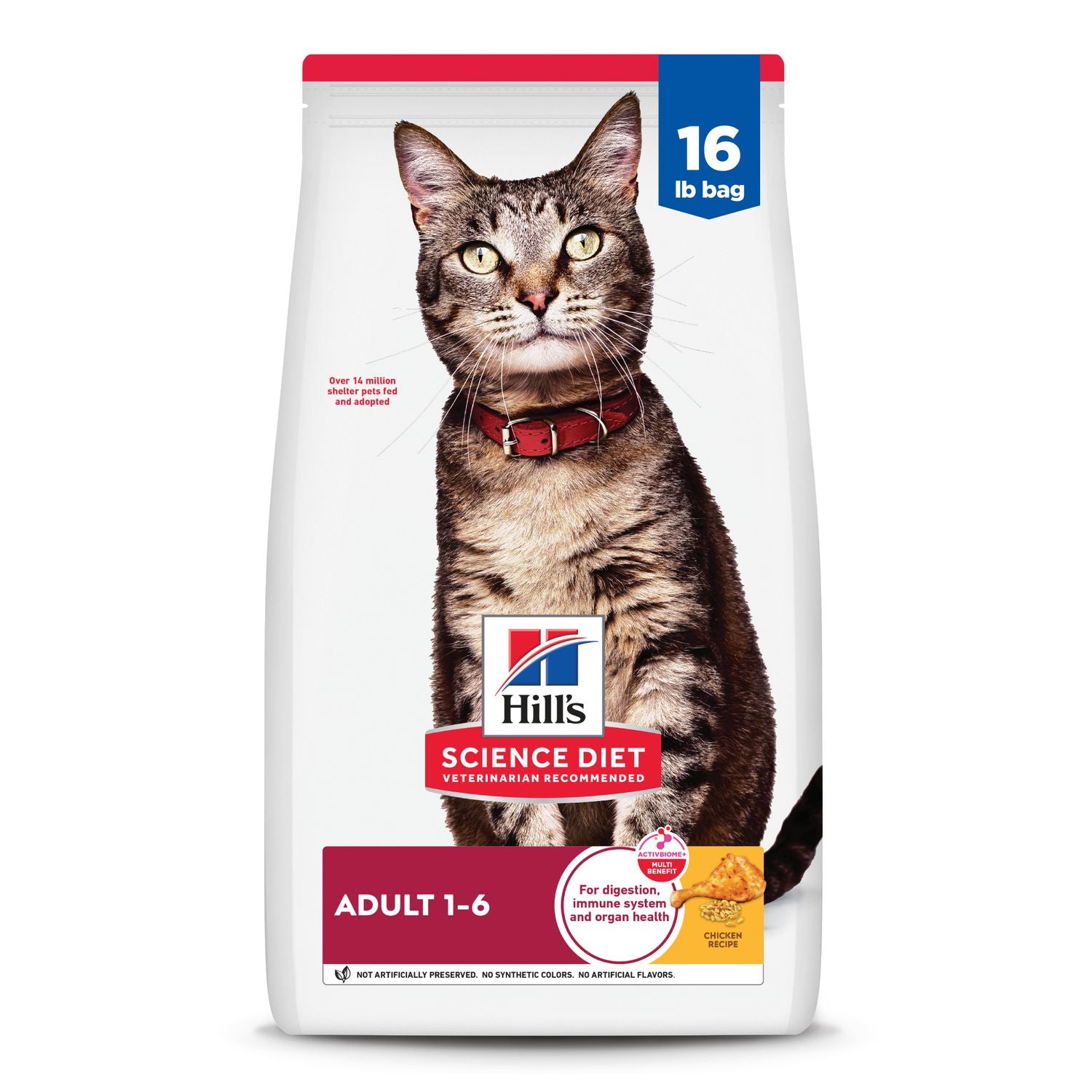 adult cat food chicken recipe