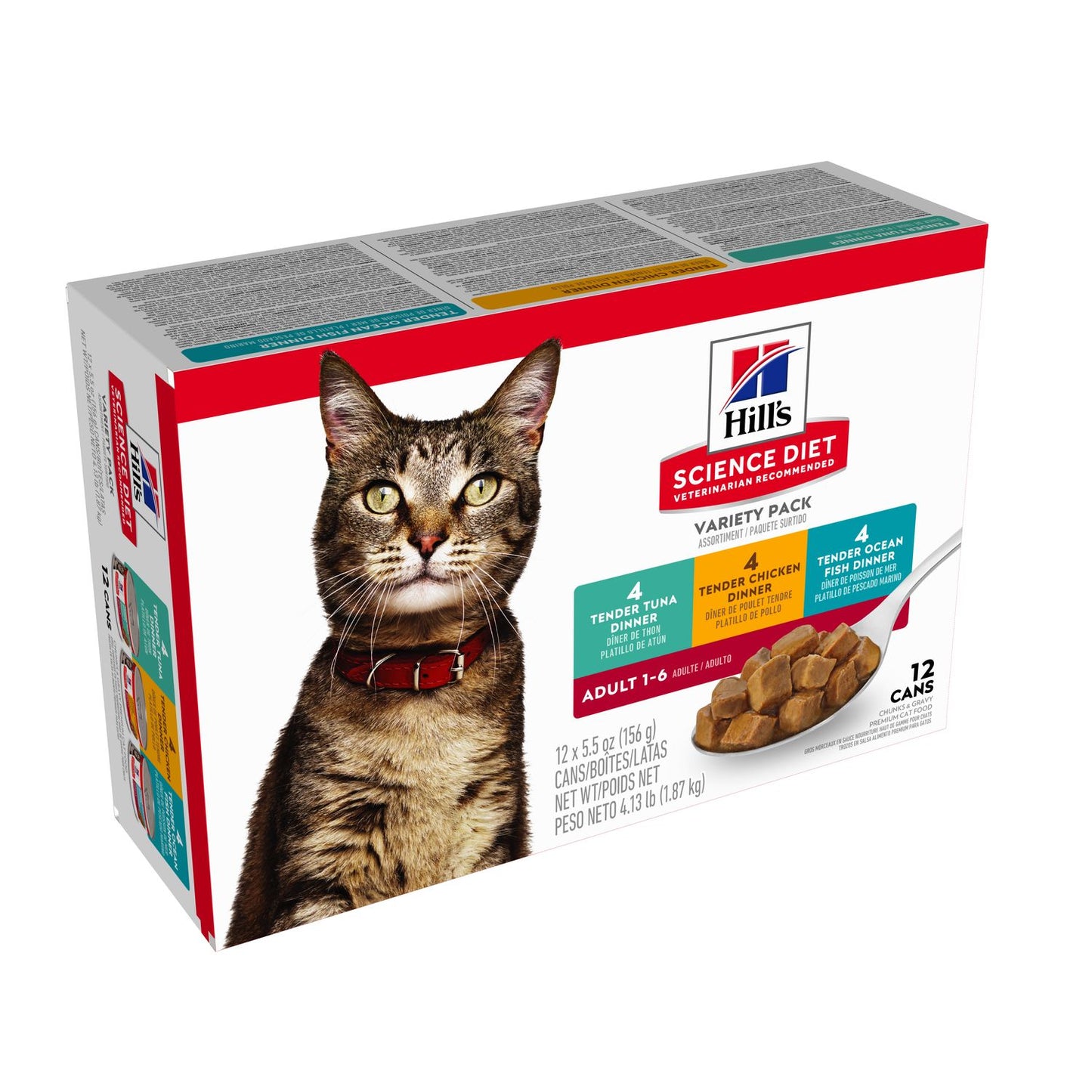 Regular cat focus (Indoor dry + wet varieties) Bundle