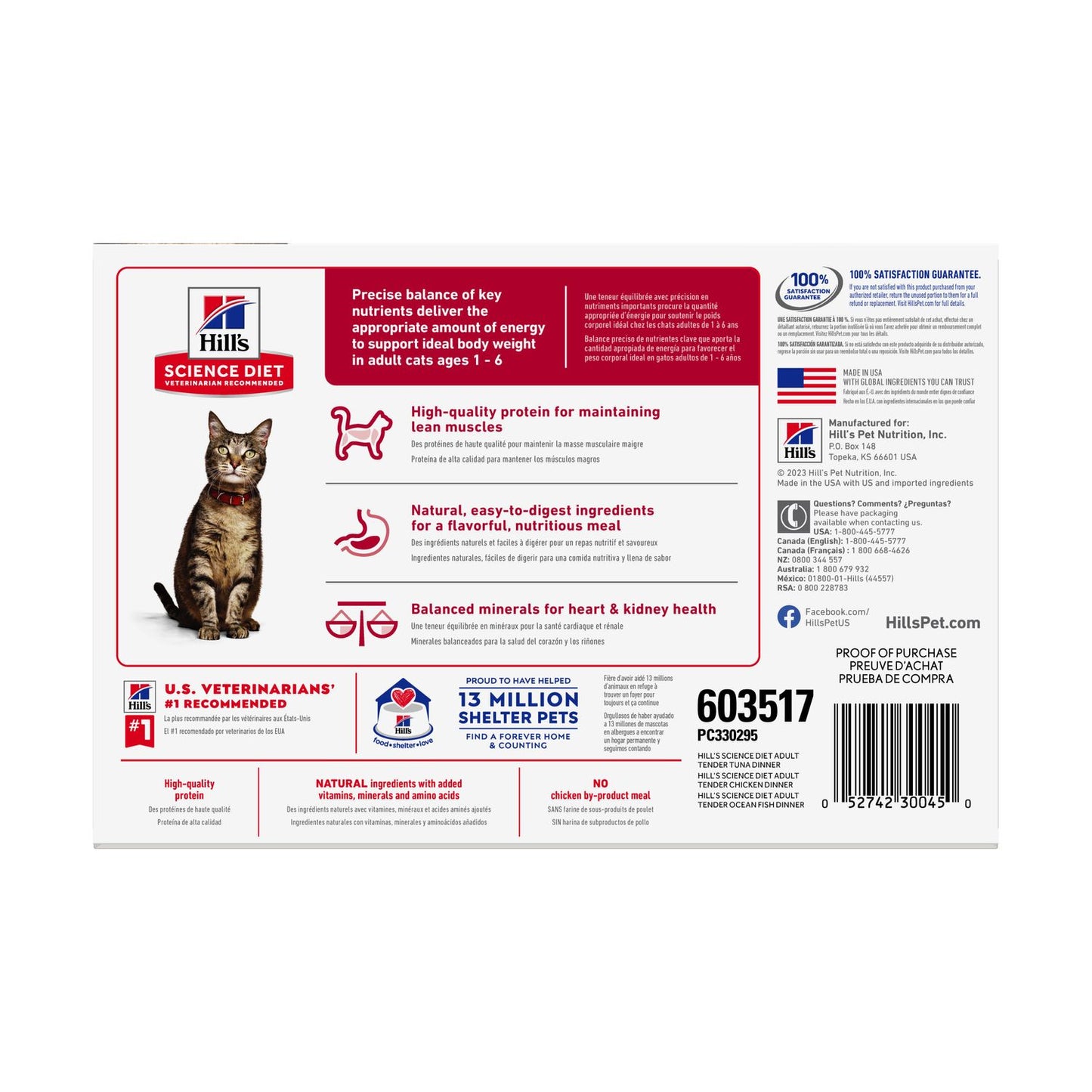 Regular cat focus (Indoor dry + wet varieties) Bundle