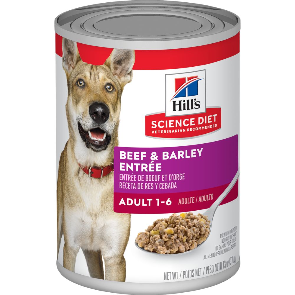 Adult Dog Food