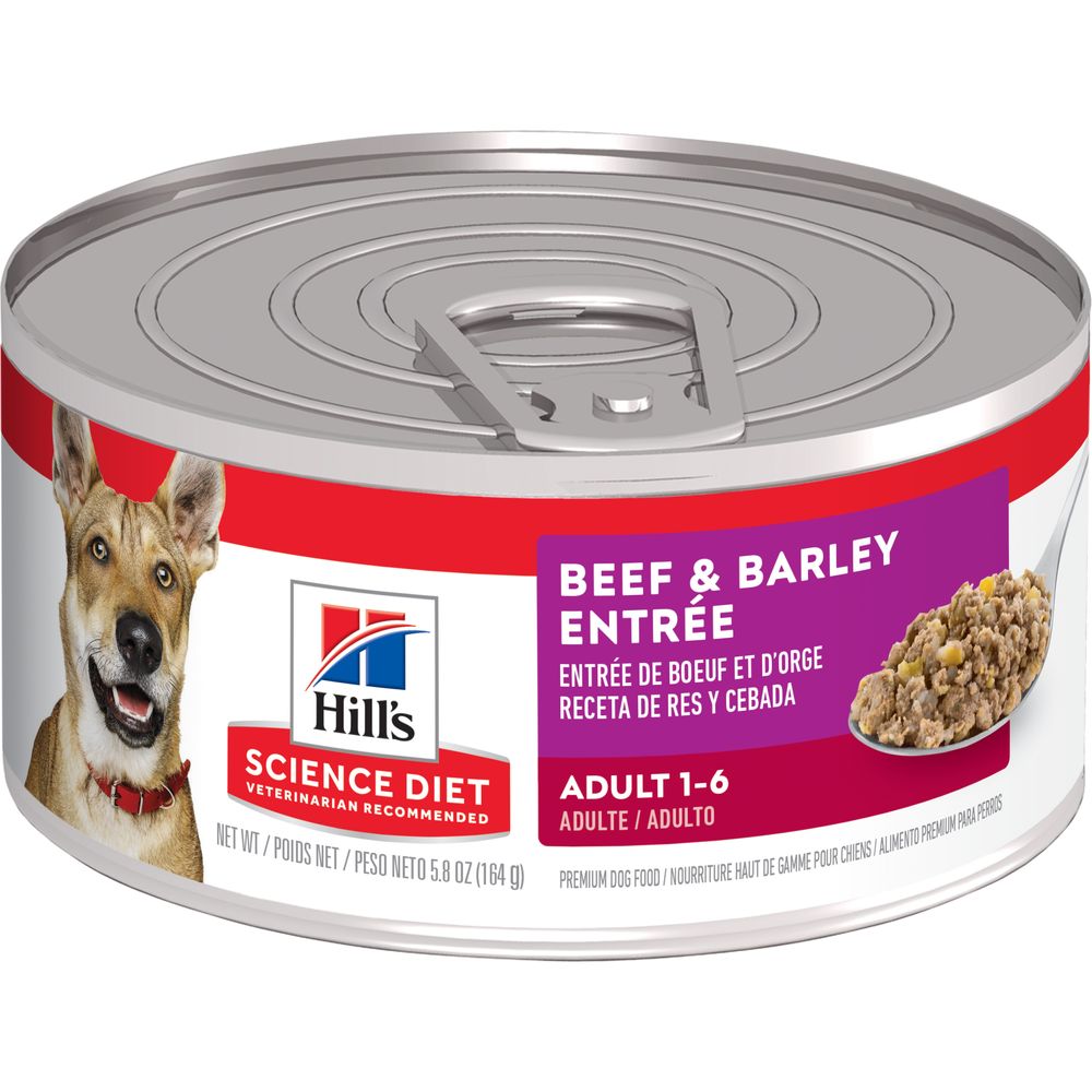 Adult Dog Food