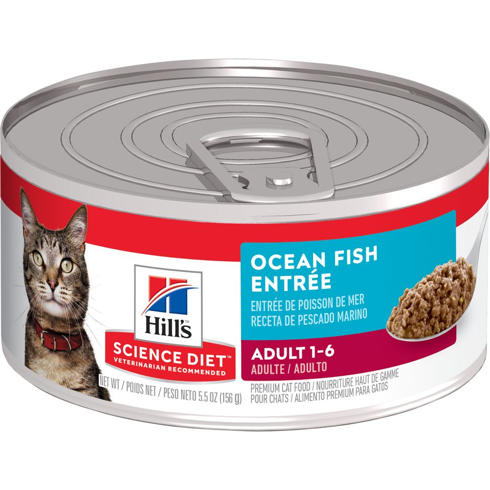 Adult Cat Food